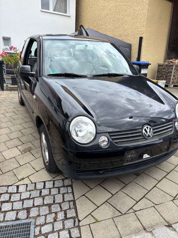 Lupo