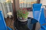 Etagenwohnung Senden - 2 Zimmer, 55 m&sup2;, 650&euro; | Angebot:26665921