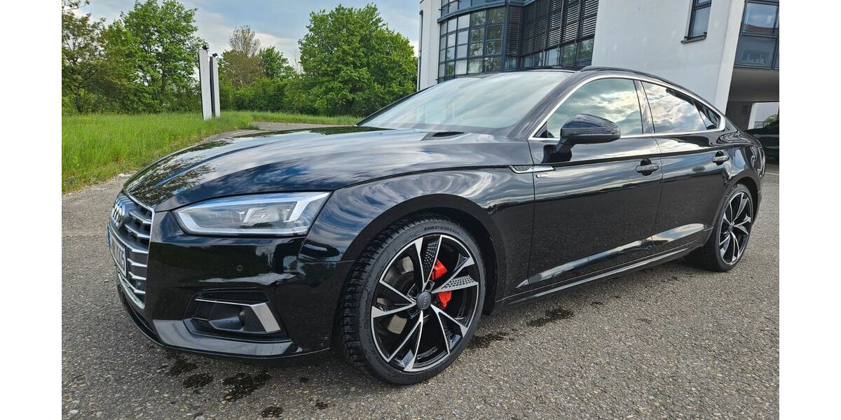 Audi A5 215.000 km 16.500 &euro; Laupheim 88471