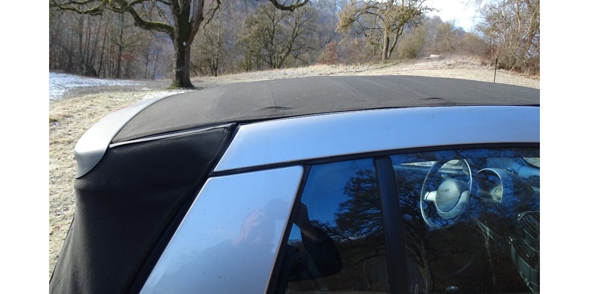 Smart ForTwo 122.000 km 2.900 &euro; Herbrechtingen 89542