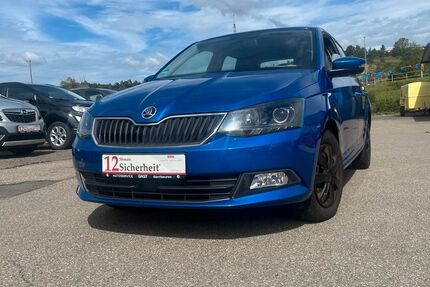 Skoda Fabia 118.000 km 8.290 € Blaustein 89134