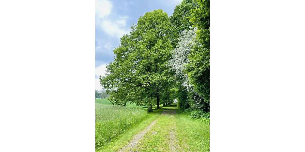 Grundstück in Kötz 1.350.000 € 18400 m² zimmer