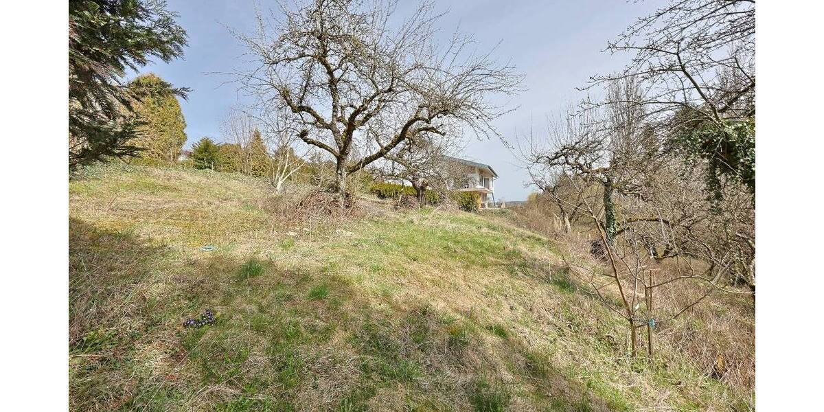 Grundstück Erbach - 1.576.000&euro; | Angebot:26082710