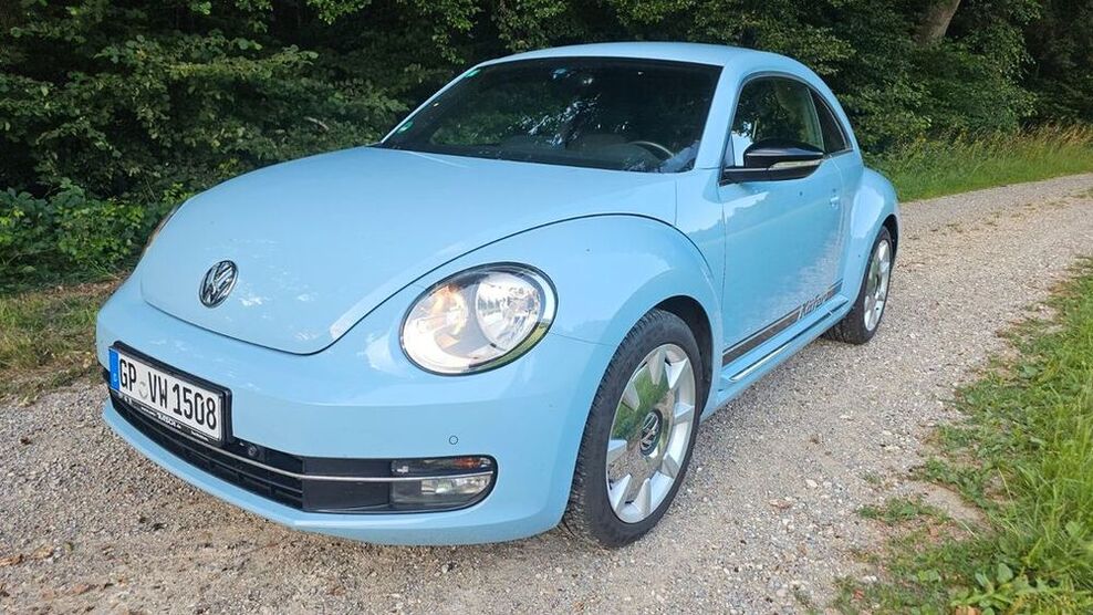 Beetle