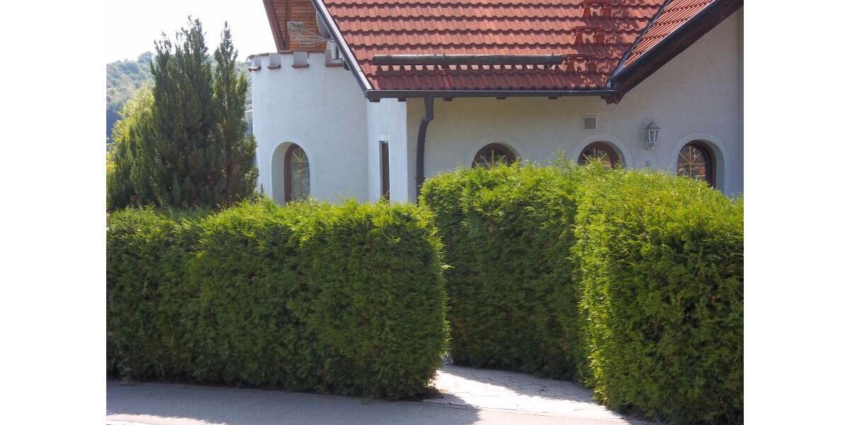 Provisionsfrei* ZFH: 5 ZiWo + 4 ZiWo, 3 Ebenen, Grund 802 m² in 89173 Lonsee zu verkaufen. - Zweifamilienhaus Lonsee | Angebot:26781319