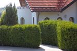 Provisionsfrei* ZFH: 5 ZiWo + 4 ZiWo, 3 Ebenen, Grund 802 m² in 89173 Lonsee zu verkaufen. - Zweifamilienhaus Lonsee | Angebot:26781319