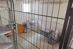 Etagenwohnung Illertissen - 3.5 Zimmer, 88 m&sup2;, 1.140&euro; | Angebot:25840227