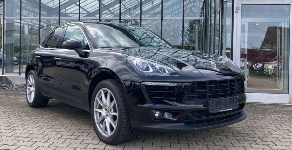 Macan