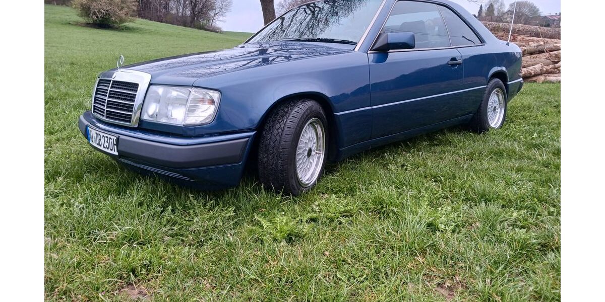 Mercedes-Benz 230 226.000 km 11.111 &euro; Buch 89290