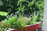 - 4- Herbrechtingen | Angebot:26770187
