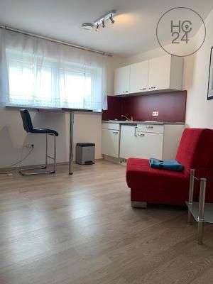 Wohnen auf Zeit in Blaustein 530 € 1 zimmer