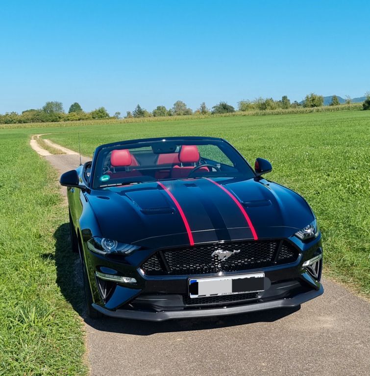 Mustang