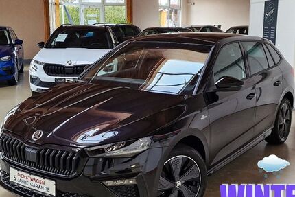 Skoda Scala 20.000 km 24.690 &euro; Ichenhausen 89335