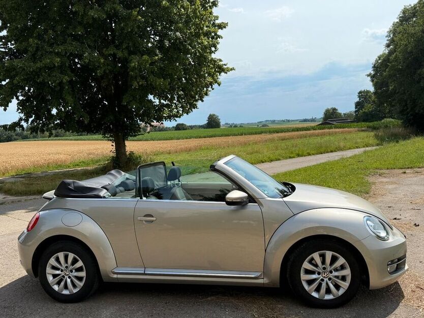 Beetle