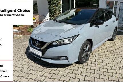 Nissan Leaf 41.767 km 18.900 &euro; Altenstadt 89281