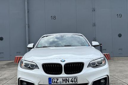 BMW 220 175.000 km 16.599 &euro; Leipheim 89340