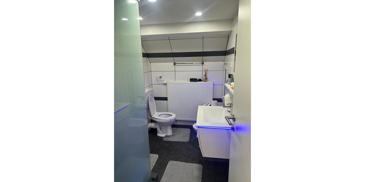 Einfamilienhaus mit Einliegerwohnung im Stadtzentrum Schelkingen 10 zimmer