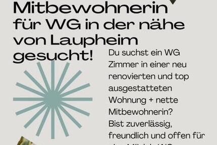 Wohnung Laupheim - 4 Zimmer, 160 m&sup2;, 400&euro; | Angebot:24661582