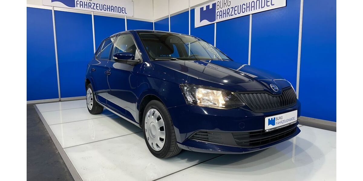 Skoda Fabia 100.000 km 7.990 &euro; Straß 89278