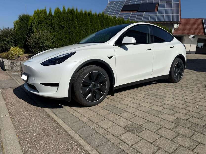 Model Y