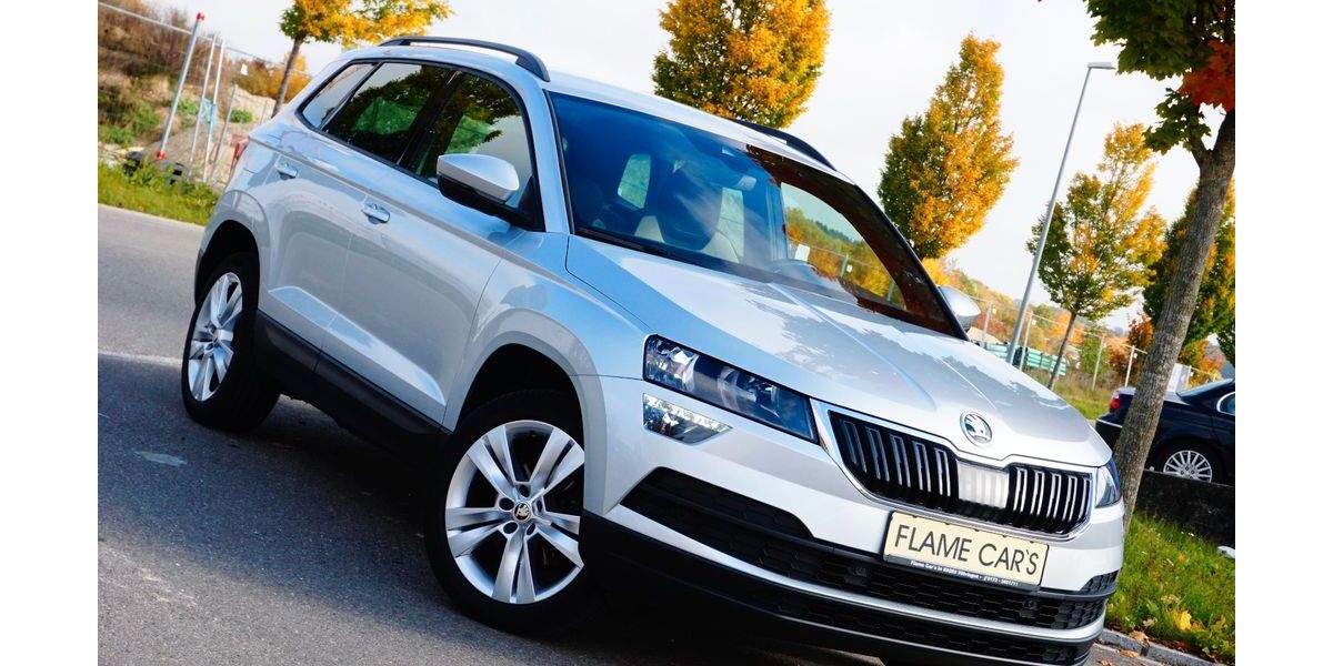 Skoda Karoq 110.000 km 18.987 &euro; Vöhringen 89269