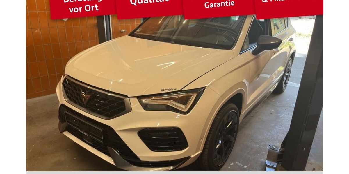 Cupra Ateca 51.991 km 25.020 &euro; Illertissen 89257