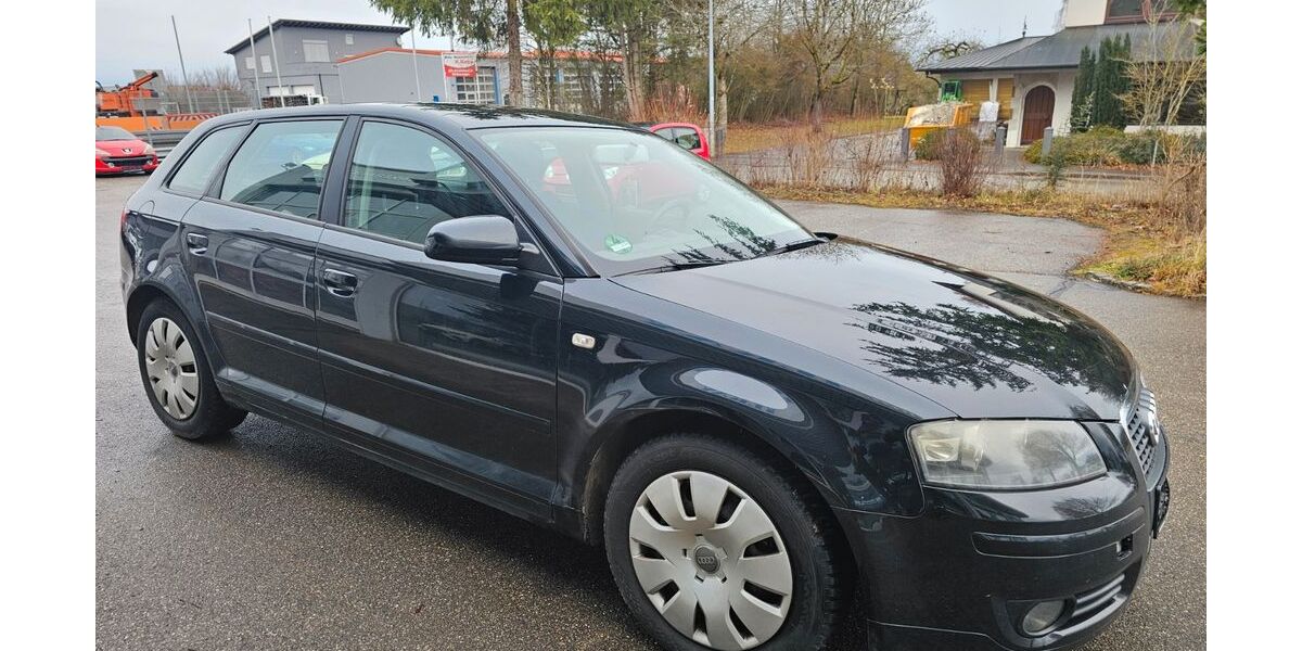 Audi A3 335.000 km 2.990 € Berghülen 89180