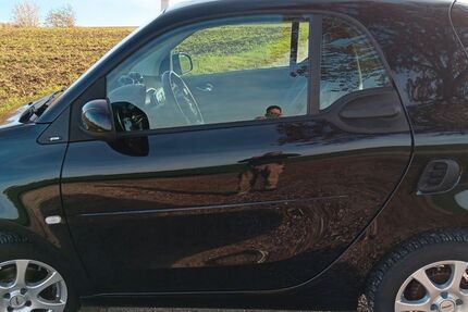 Smart ForTwo 134.000 km 9.100 &euro; Berghülen 89180