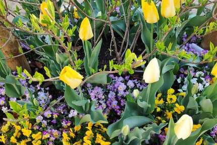 Wohnung Dietenheim - 3 Zimmer, 76 m&sup2;, 165.000&euro; | Angebot:23754169