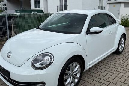 VW Beetle