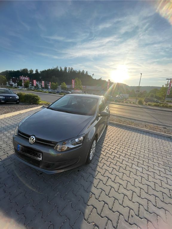 Polo