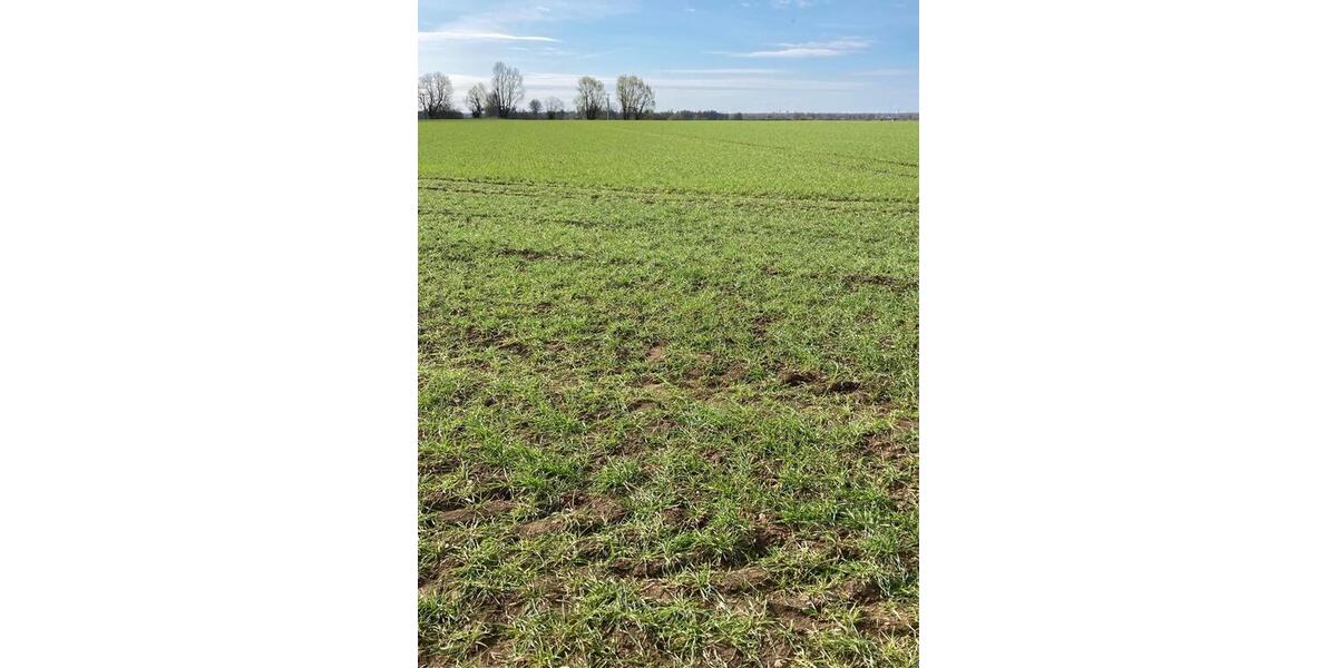 Grundstück Günzburg - 9&euro; | Angebot:26188612