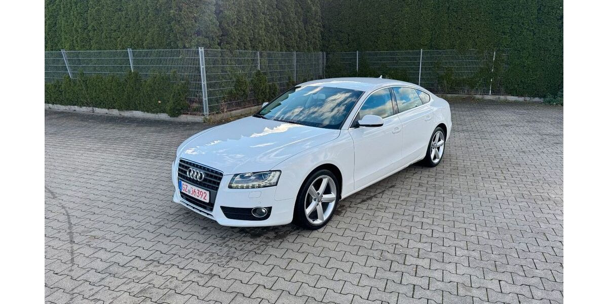 Audi A5 241.200 km 5.390 € Kötz 89359