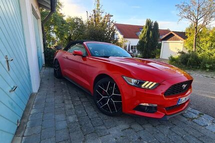 Ford Mustang 176.922 km 22.000 &euro; Ulm, Donau 89079