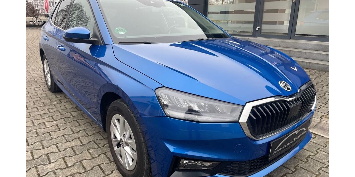 Skoda Fabia 11.887 km 19.590 &euro; Kammeltal/Egenhofen 89358