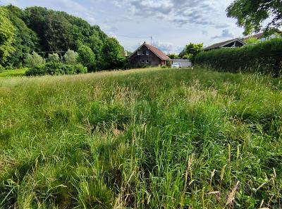 IHR GRÜNES PARADIES FÜR DIE GANZE FAMILIE - Grundstück Weißenhorn | Angebot:27211124
