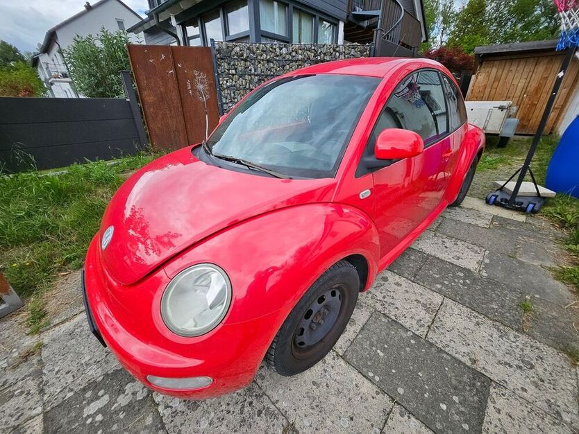 Beetle