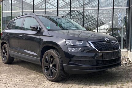 Skoda Karoq 127.600 km 17.380 &euro; Neu-Ulm 89231