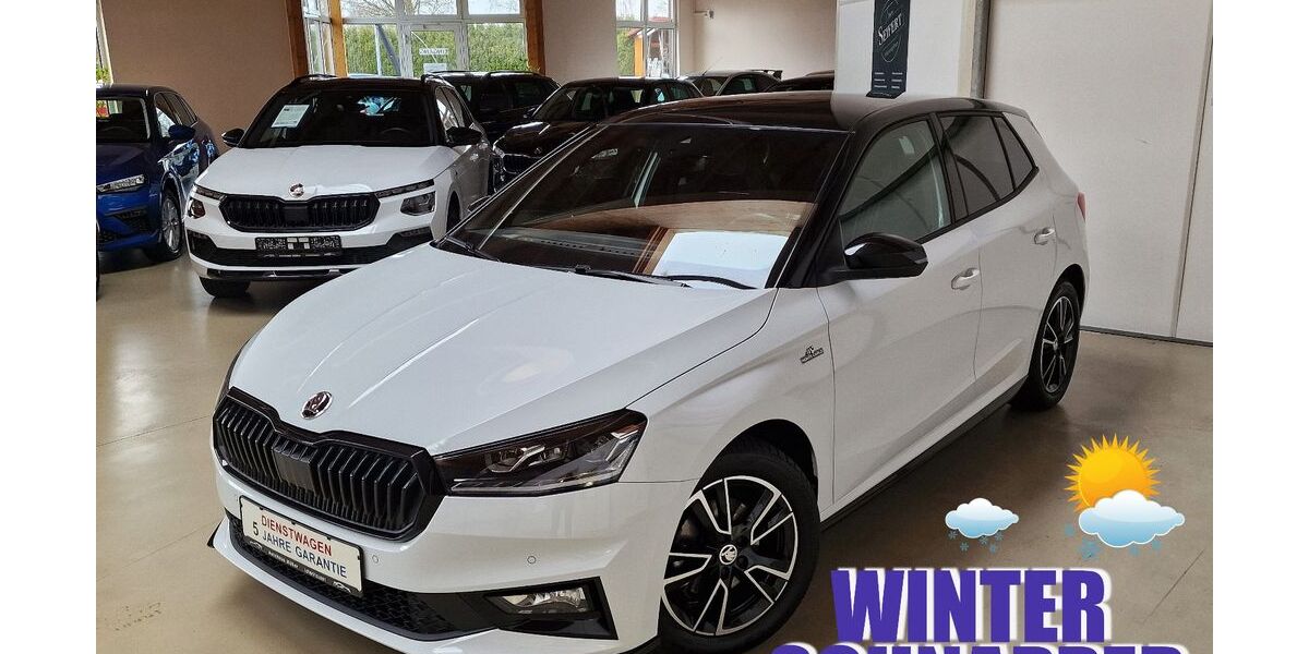 Skoda Fabia 17.586 km 23.990 € Ichenhausen 89335