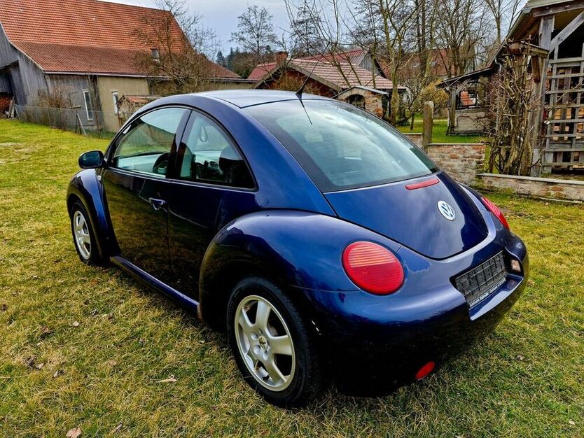 Beetle