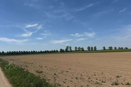 Grundstück zu verkaufen in Blaustein 60.000 € 7831 m² zimmer