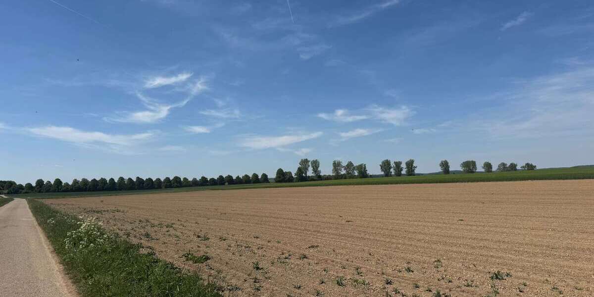 Grundstück zu verkaufen in Blaustein 60.000 € 7831 m² zimmer