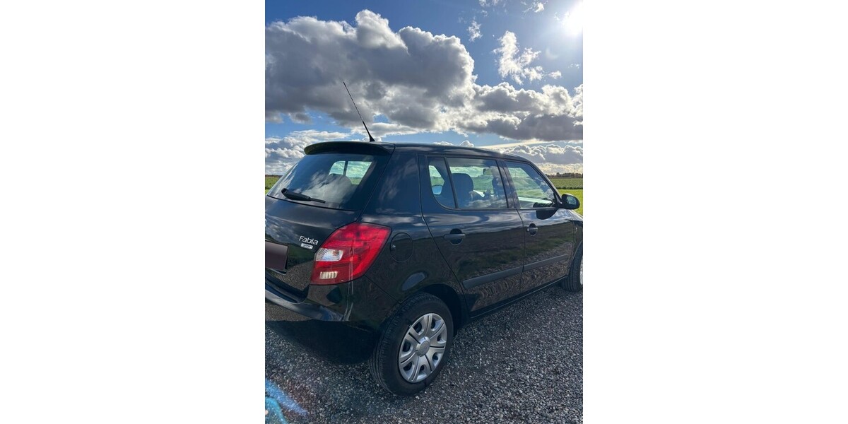 Skoda Fabia 118.449 km 2.999 € Laupheim 88471