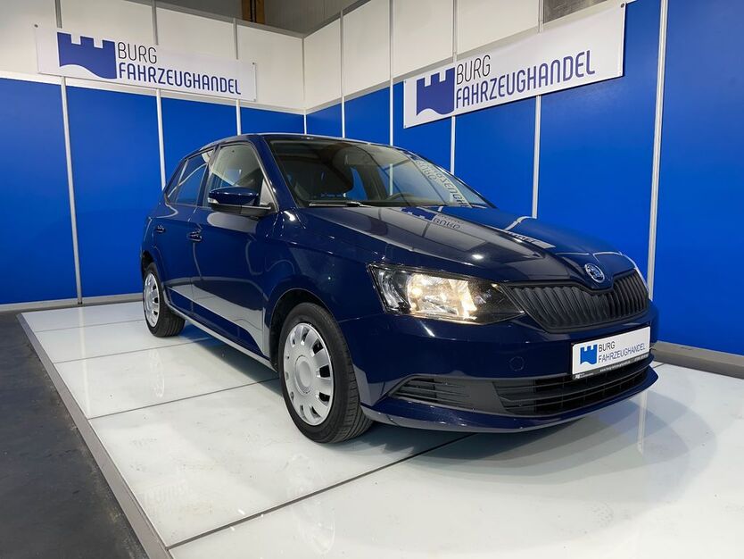 Skoda Fabia 100.000 km 8.490 € Straß 89278
