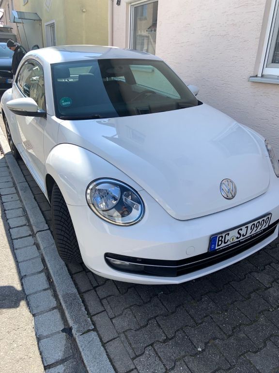 Beetle