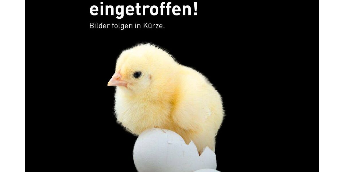 Smart #1 8.962 km 33.490 &euro; Neu-Ulm 89231