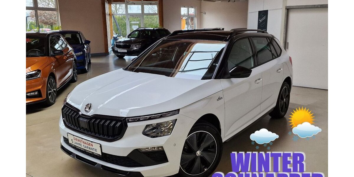 Skoda Kamiq 20.000 km 26.990 € Ichenhausen 89335