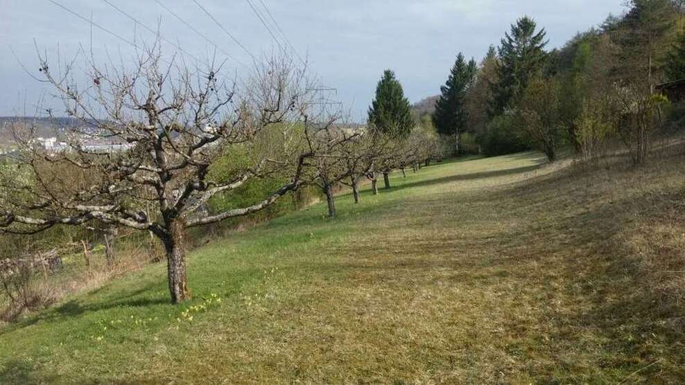 Grundstück zu verkaufen in Herbrechtingen 60.000 € 1500 m²