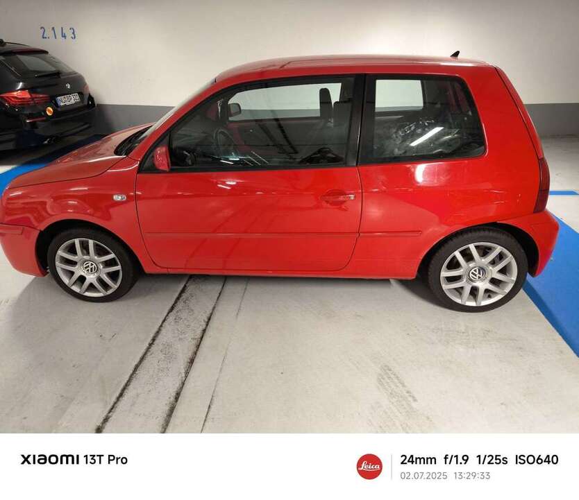 Lupo