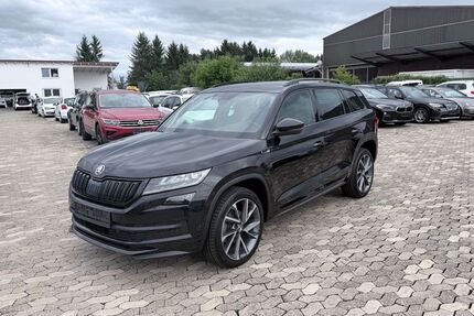 Skoda Kodiaq 220.000 km 17.900 &euro; Erbach 89155